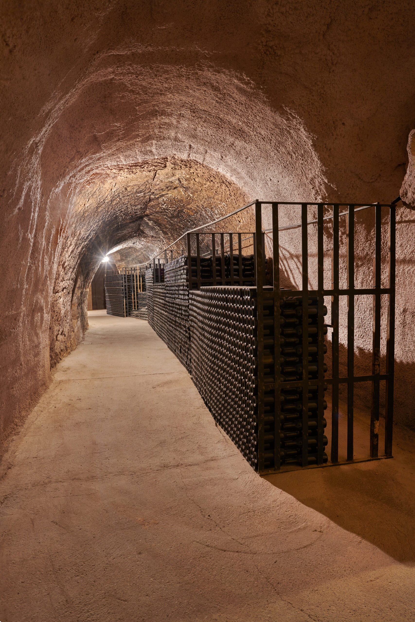 Testigos de la Historia del Vino