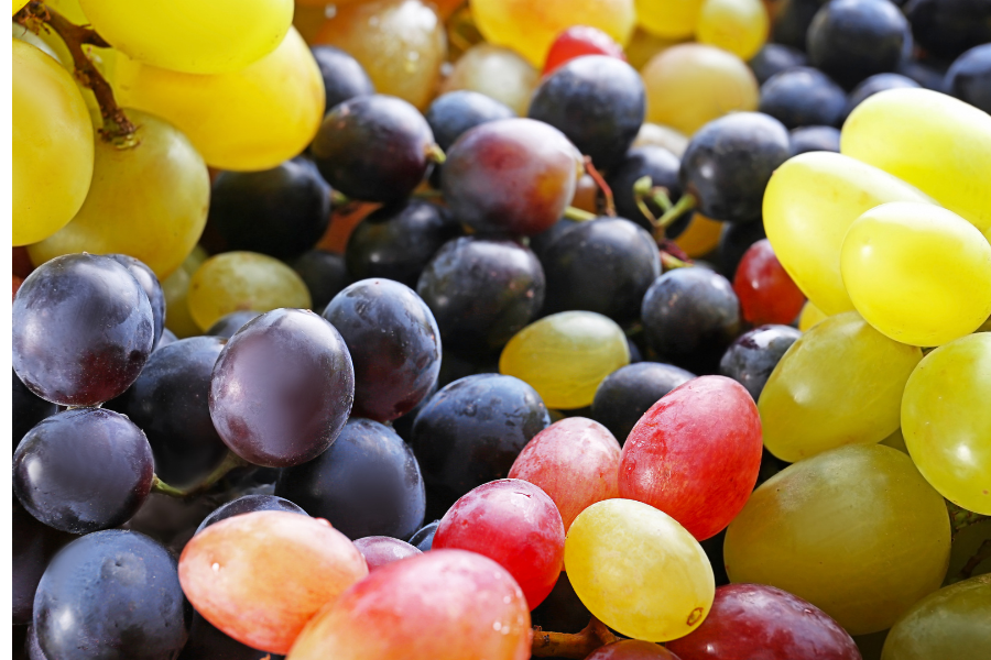 Variedad de uvas españolas_Cillar de Silos